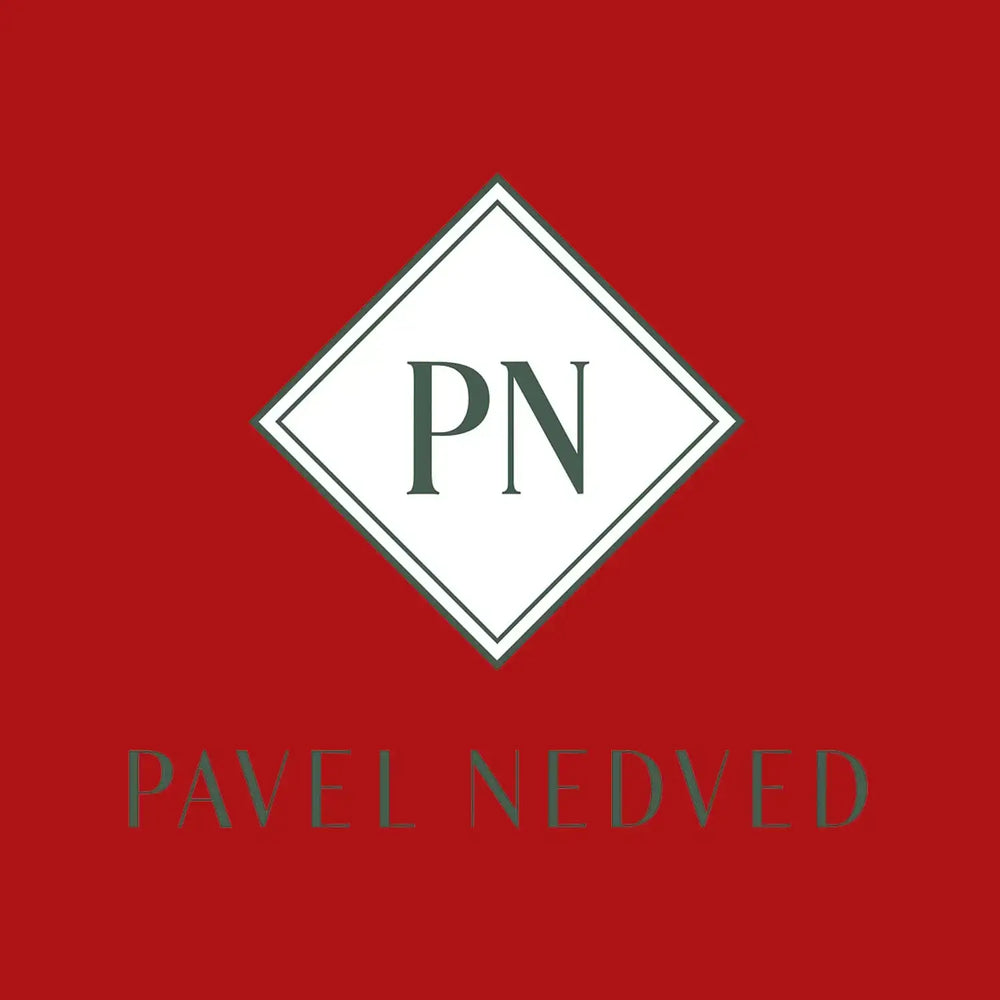 Pavel Nedved Logo Players Couture Men's Casual Hoodie