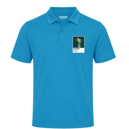 Payne Stewart Miami Dolphins Golf Icon Frame - Icon Design (View 2)