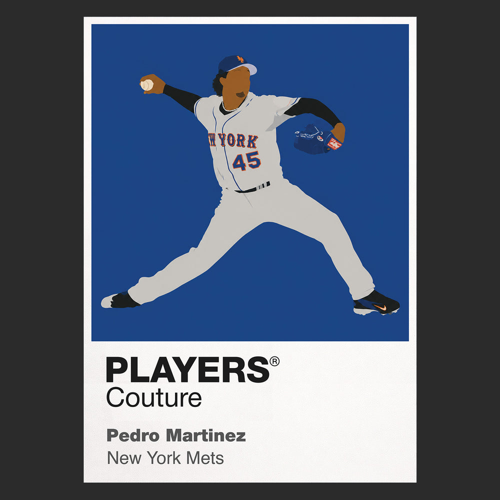 Pedro Martínez Mets Baseball Icon Frame - Icon Design (View 9)