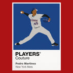 Pedro Martínez Mets Baseball Icon Frame - Icon Design (View 7)