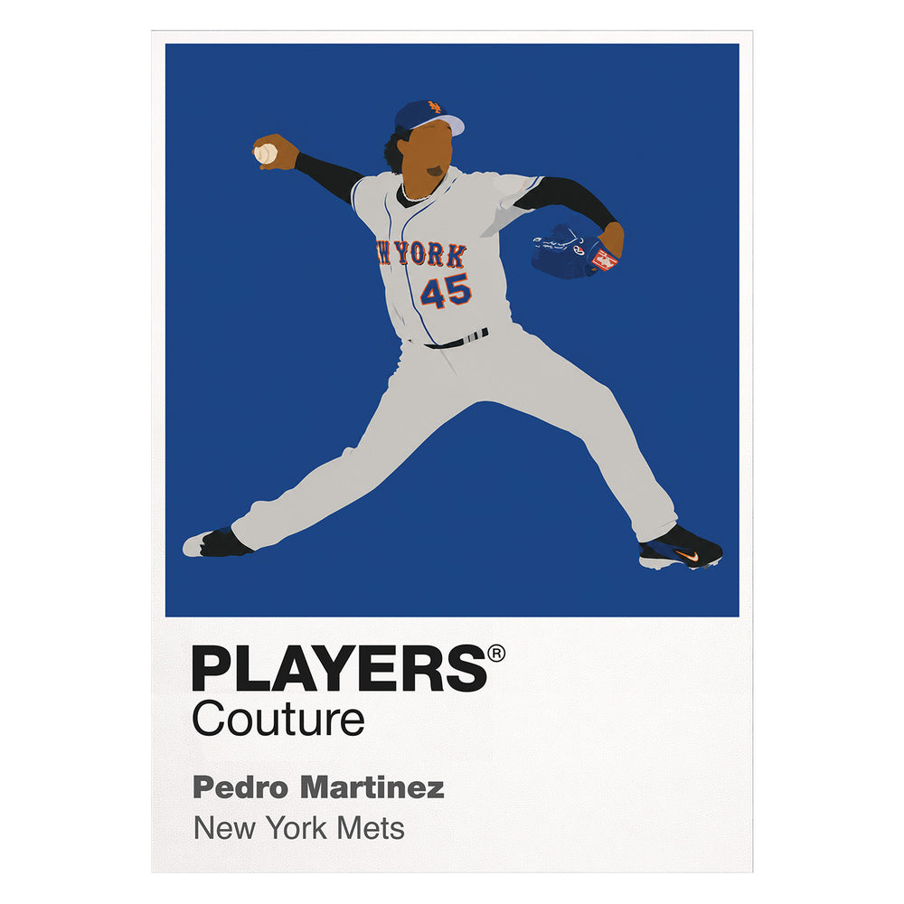 Pedro Martínez Mets Baseball Icon Frame - Icon Design (View 3)