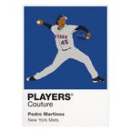 Pedro Martínez Mets Baseball Icon Frame - Icon Design (View 3)