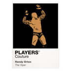 Randy Orton Wrestling Icon Frame Men's Hoodie