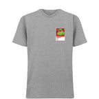 Raphael Colour t-shirt – grey men's t-shirt featuring the Raphael Colour Players Couture logo