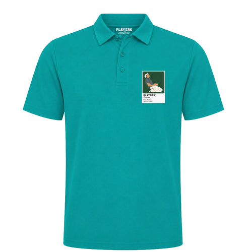 Rory McIlroy 2 Golf Icon Frame - Icon Design