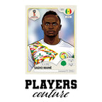 Sadio Mane World Cup Sticker Kids Hoodie – sadio mane white Players Couture design