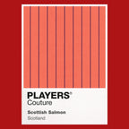 Scotland Salmon Classic Football Shirt Colours Frame Men's Hoodie
