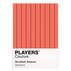 Scotland Salmon Classic Football Shirt Colours Frame Men's Hoodie
