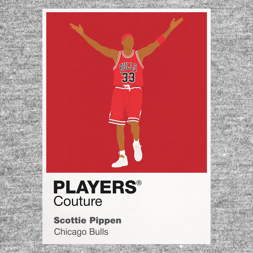 Scottie Pippen Bulls Basketball Icon Frame Men's Hoodie