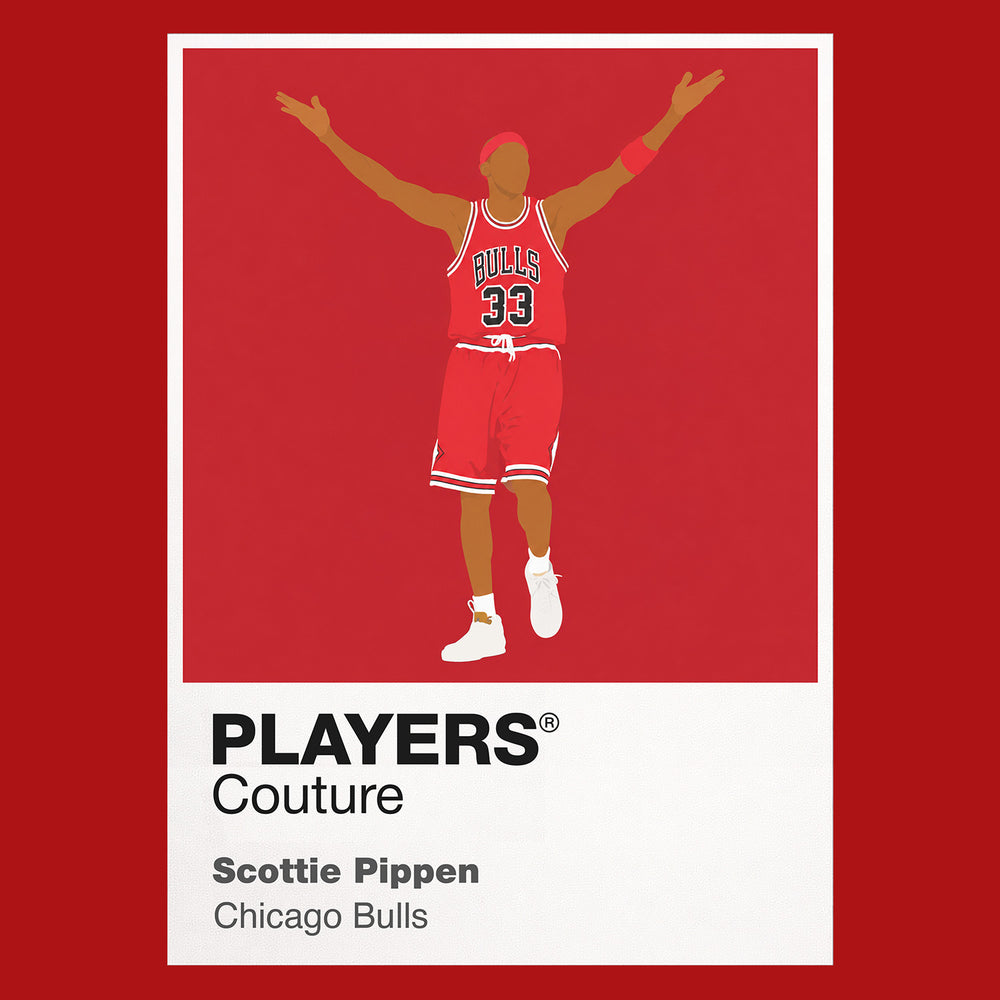 Scottie Pippen Bulls Basketball Icon Frame Men's Hoodie