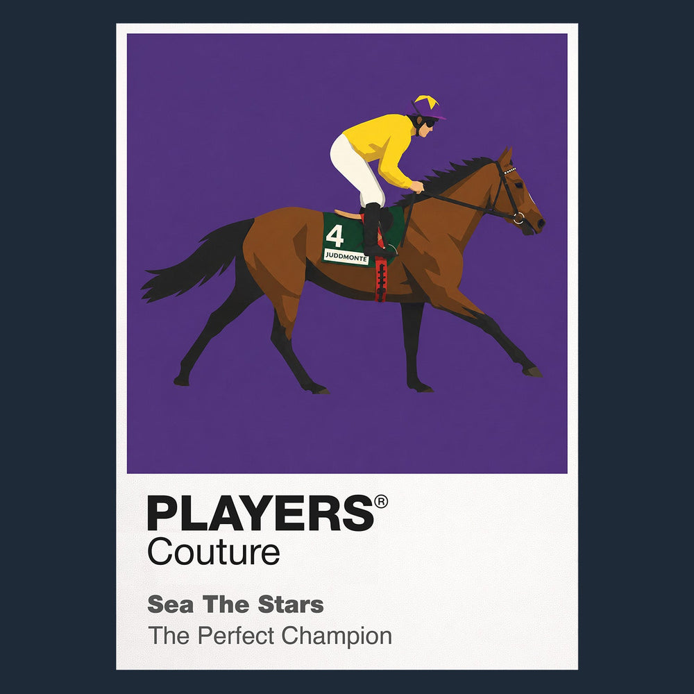 Sea The Stars horse racing hoodie – navy view