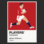 Shane Williams Rugby Union Icon Frame Men's T-Shirt – image 9