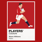 Shane Williams Rugby Union Icon Frame Men's Hoodie – image 7