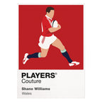 Shane Williams Rugby Union Icon Frame Men's Hoodie – image 8