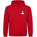Sheamus Wrestling Icon Frame Men's Hoodie