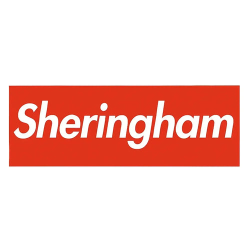 Teddy Sheringham Logo - Icon Design