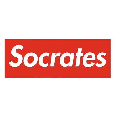 Socrates Logo Kids Hoodie – white close-up detail shot of the Socrates Players Couture logo design