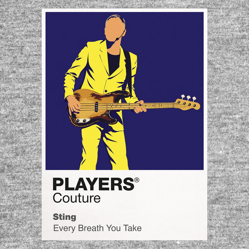Sting Sting's bass-guitar stance and understated Police-to-solo stage identity Icon Frame artwork in grey