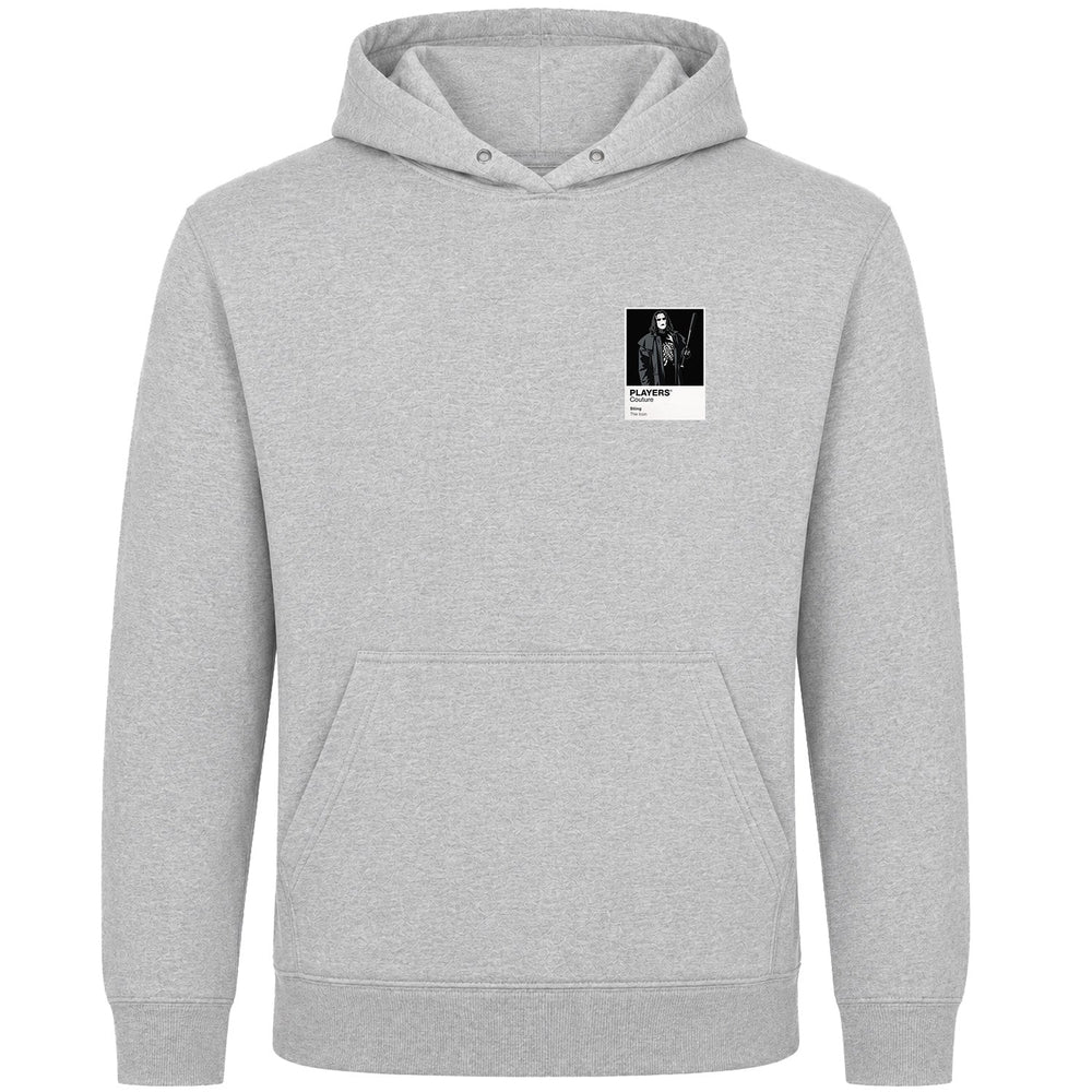 Sting Wrestling Icon Frame Men's Hoodie