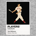 Ted Williams Red Sox Baseball Icon Frame - Icon Design