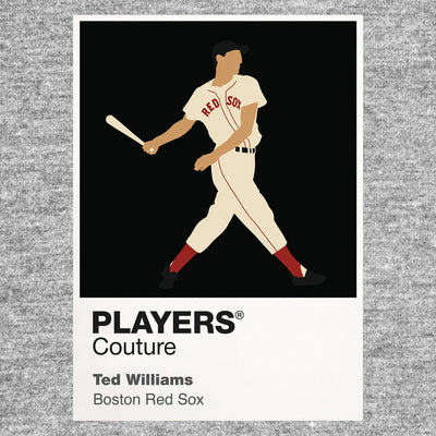 Ted Williams Red Sox Baseball Icon Frame - Icon Design