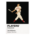 Ted Williams Red Sox Baseball Icon Frame - Icon Design (View 7)