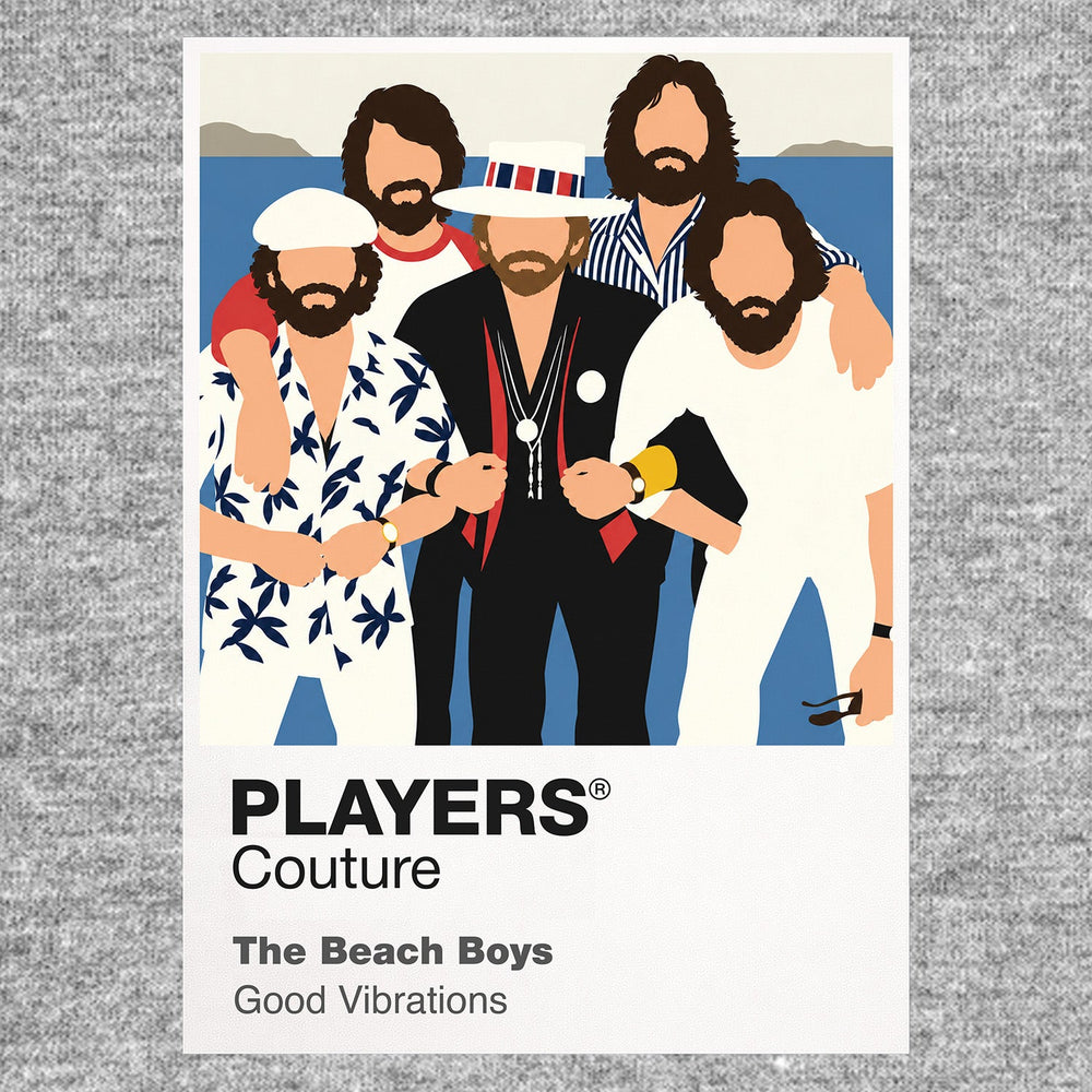 The Beach Boys the Beach Boys' coordinated line-up, vocal-group styling and Californian identity Icon Frame artwork in grey