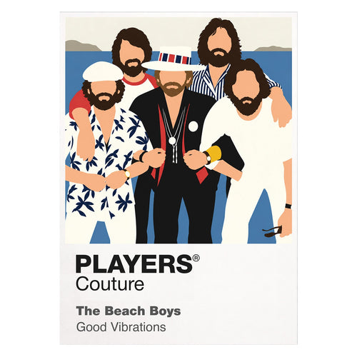The Beach Boys the Beach Boys' coordinated line-up, vocal-group styling and Californian identity Icon Frame artwork on white