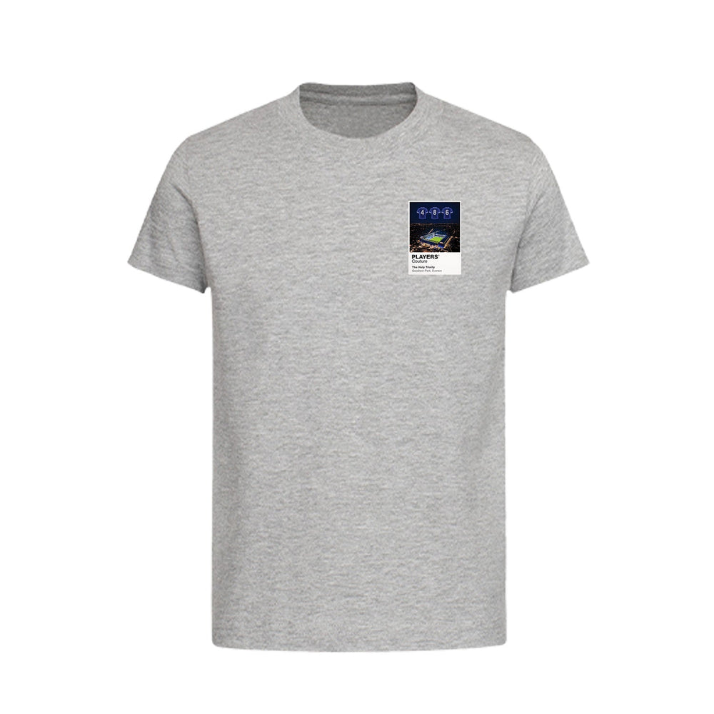 The Holy Trinity Everton Icons in Lights Frame Kids T-Shirt in Gray