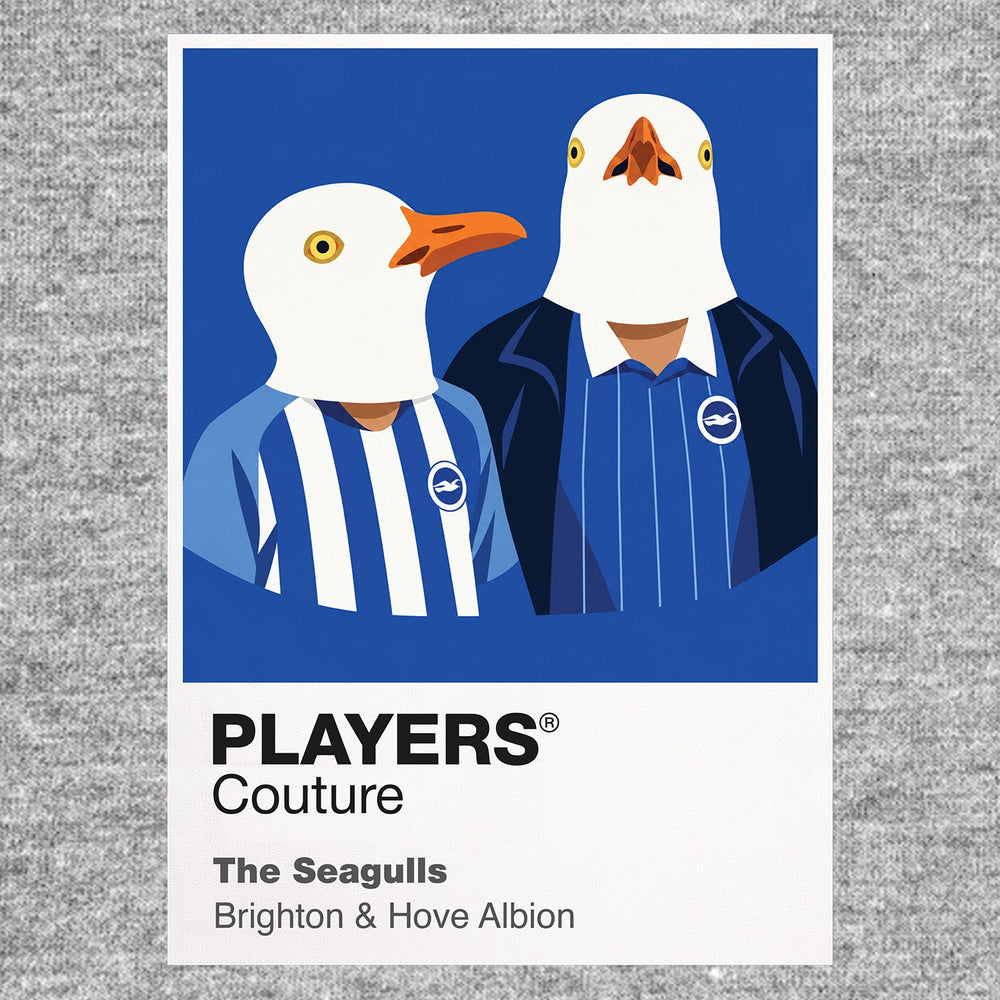 The Seagulls Icon Frame artwork in grey