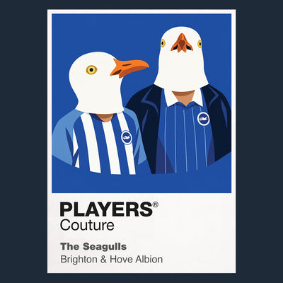 The Seagulls Icon Frame artwork in navy