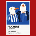 The Seagulls Icon Frame artwork in red