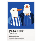 The Seagulls Brighton & Hove Albion Icon Frame Men's T-Shirt