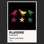 Ajax Three Little Birds Classic Football Shirt Colours Frame Men's Hoodie