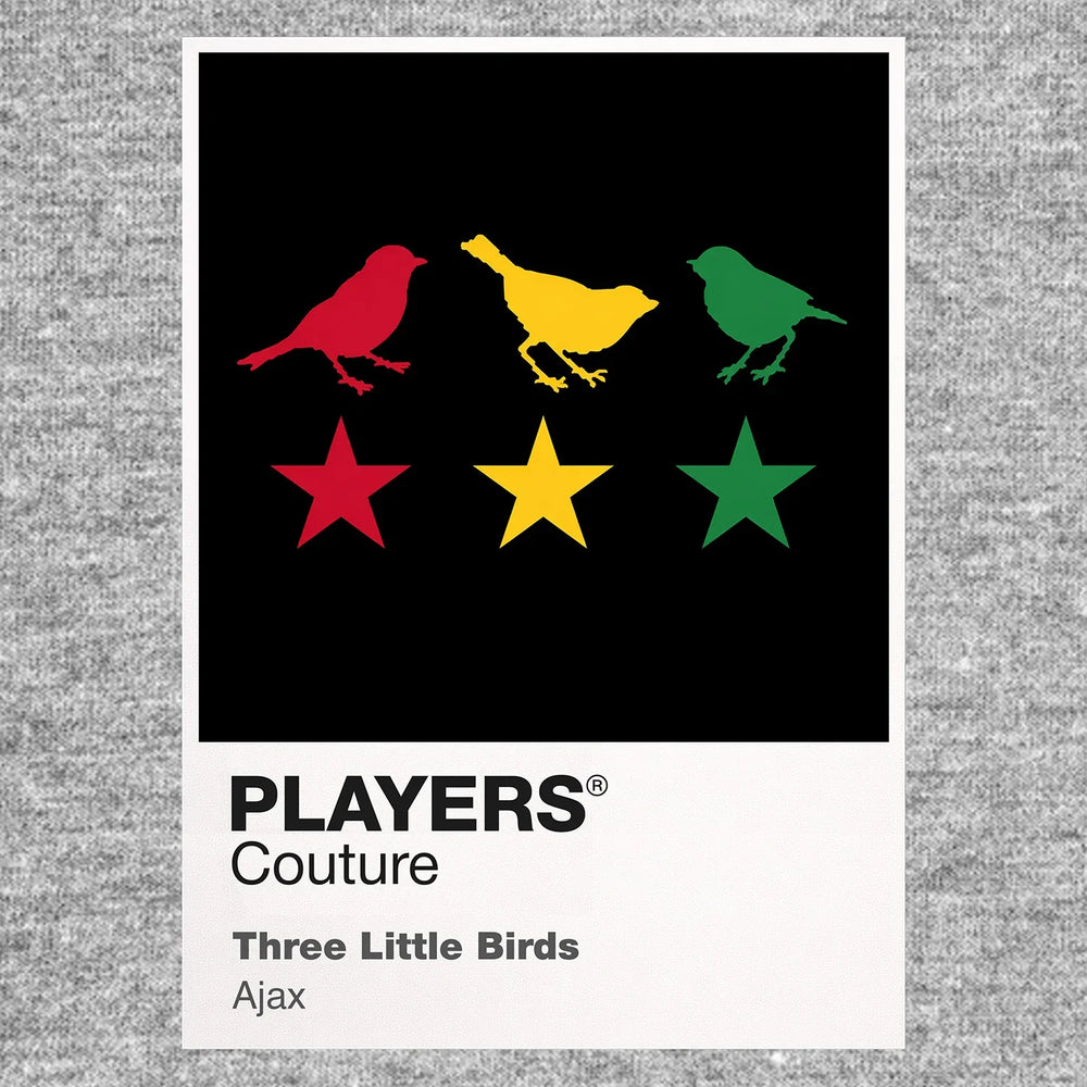 Ajax Three Little Birds Classic Football Shirt Colours Frame Men's Hoodie