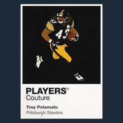 Troy Polamalu Steelers American Football Icon Frame - Icon Design (View 8)