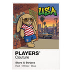 USA Football Cool Bunny Men's T-Shirt – USA football cool bunny framed artwork detail – Players Couture
