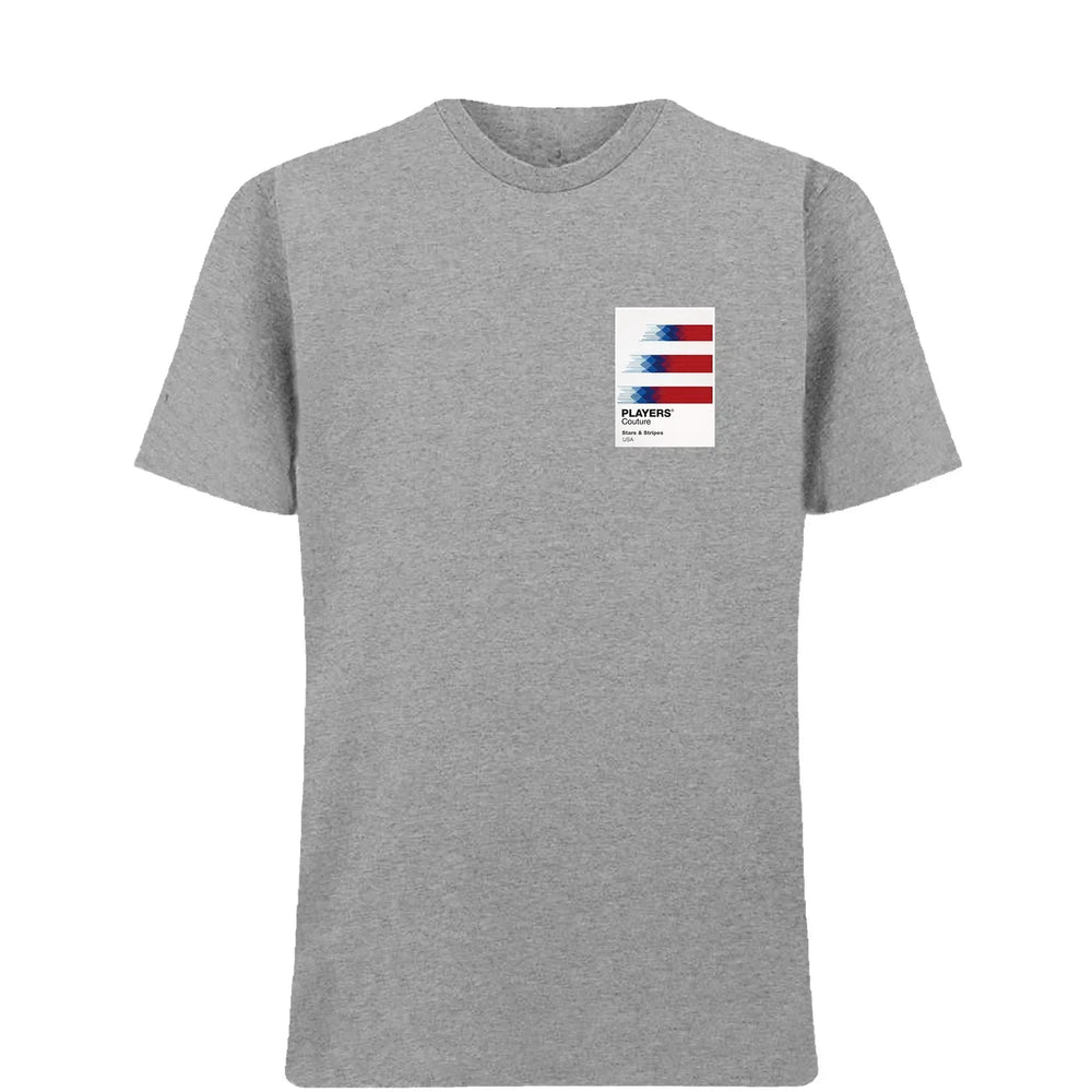 USA t-shirt – grey men's t-shirt featuring the USA Players Couture logo