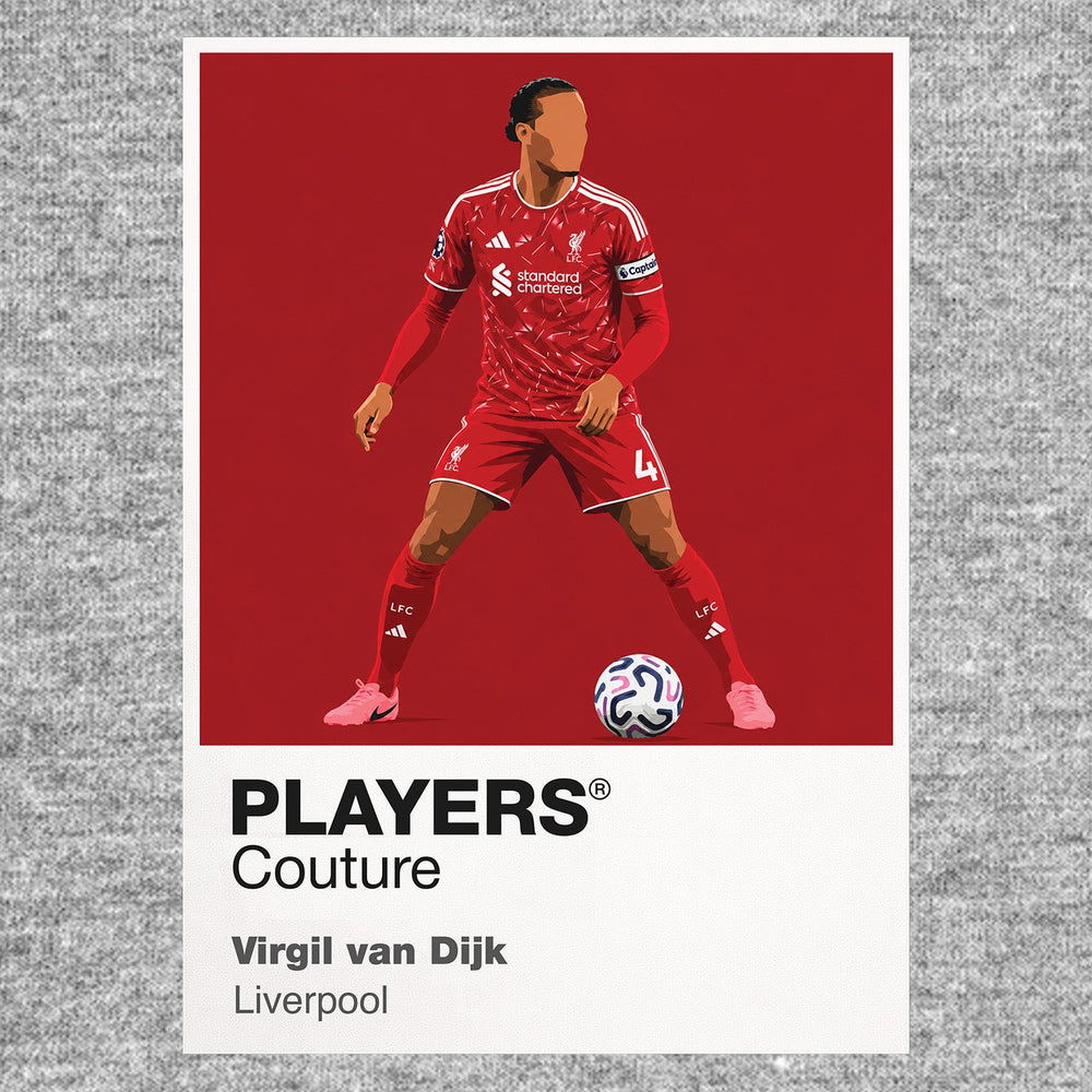 Virgil van Dijk Liverpool design three Icon Frame artwork in grey