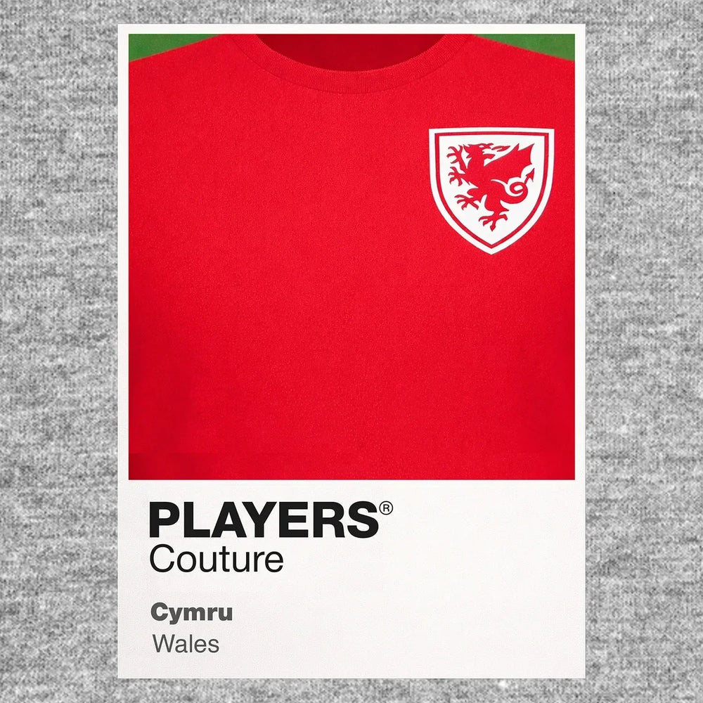 Wales Classic Football Shirt Colours Frame Men's T-Shirt – grey close-up detail shot of the Wales Players Couture logo design