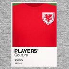 Wales Classic Football Shirt Colours Frame Men's T-Shirt – grey close-up detail shot of the Wales Players Couture logo design