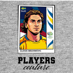 Zlatan Ibrahimovic World Cup Sticker Men's Hoodie – zlatan grey Players Couture design