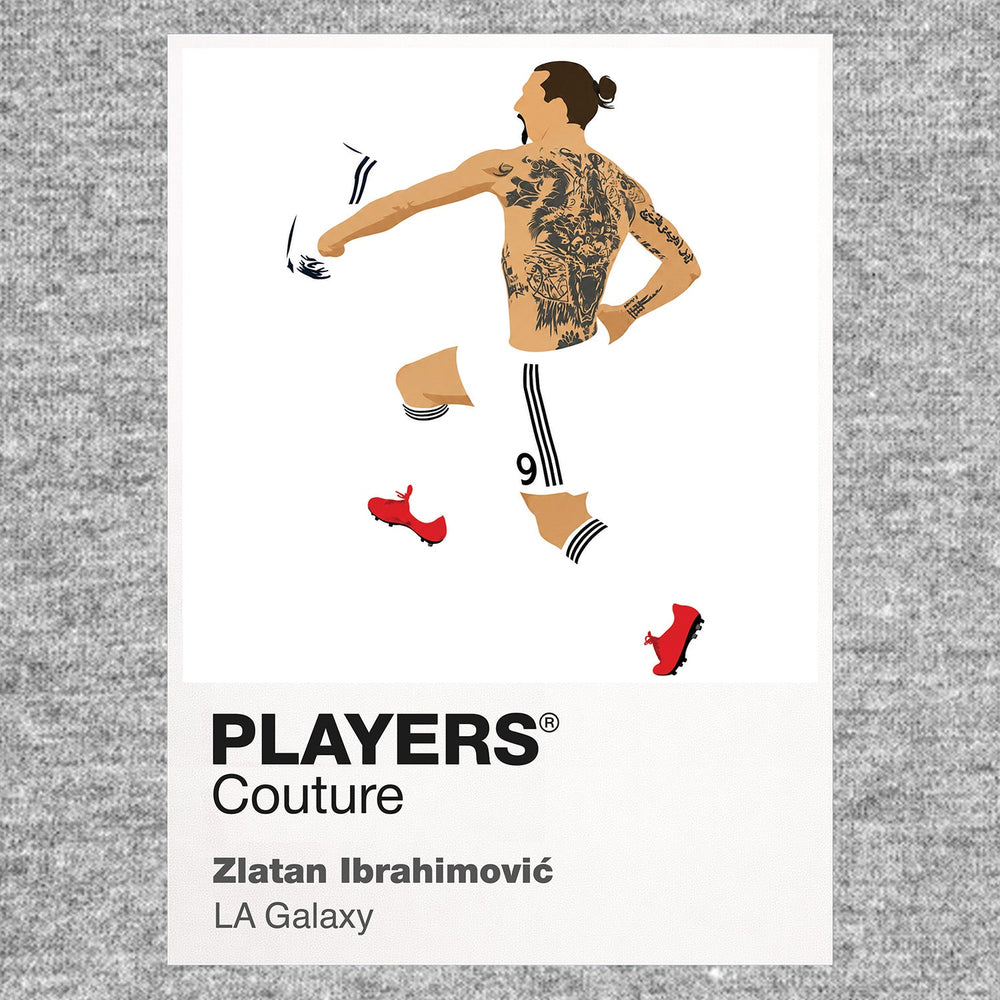 Zlatan Ibrahimović LA Galaxy grey Icon Frame artwork detail