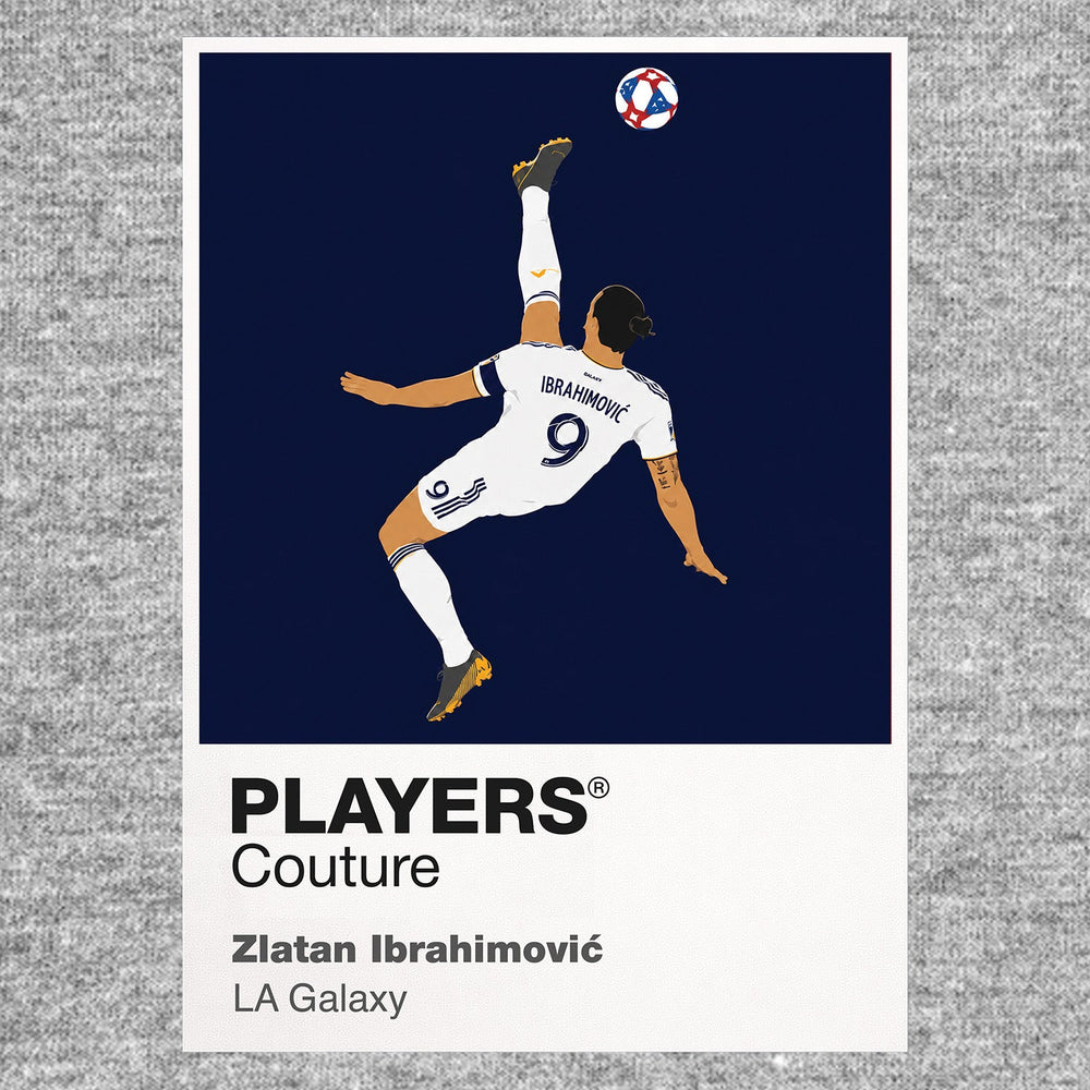 Zlatan Ibrahimović LA Galaxy grey Icon Frame artwork detail